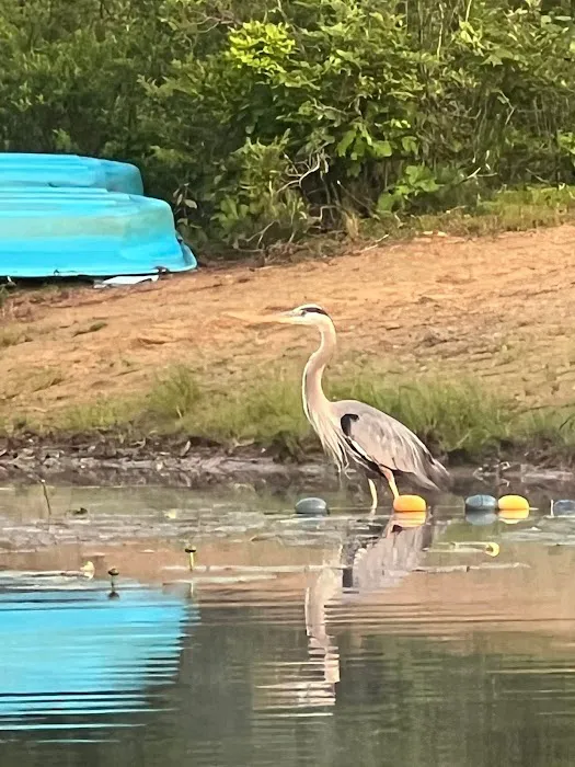 Lake Dean Campground LLC Picture 1
