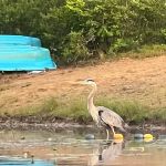 Lake Dean Campground LLC