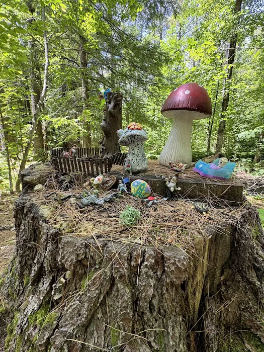 Ames Brook Campground Picture 4