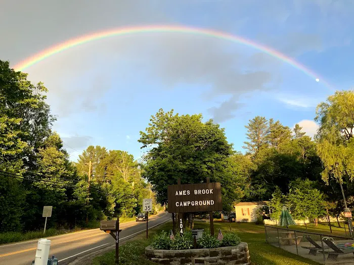 Ames Brook Campground Picture 6