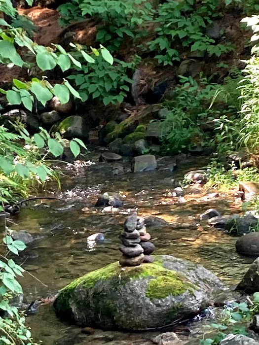 Ames Brook Campground Picture 9