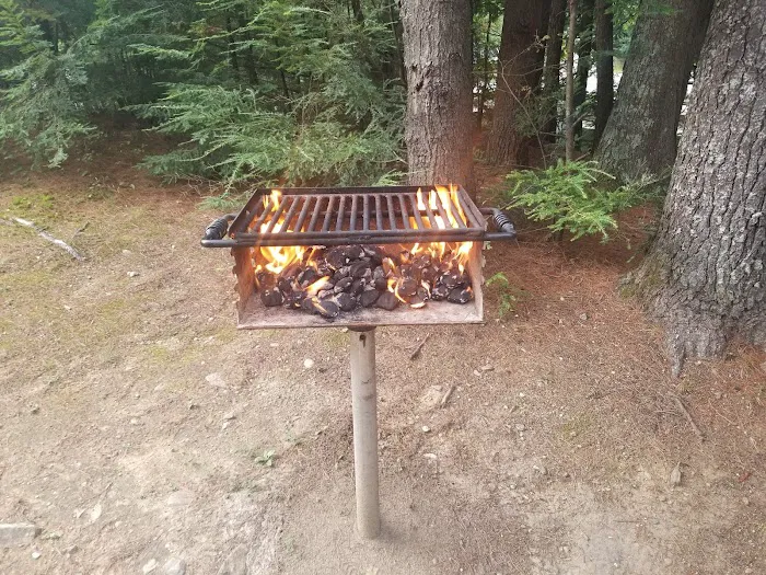 Twin Tamarack Family Camping Picture 6