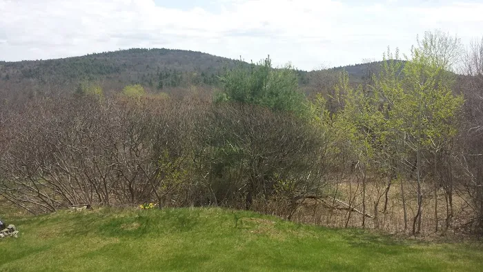 All Seasons Campground Picture 6