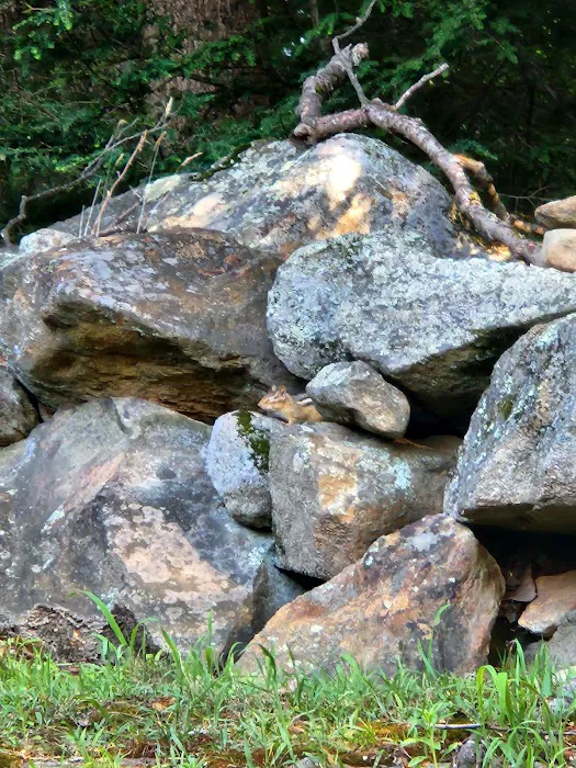 All Seasons Campground Picture 10