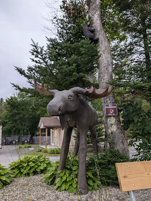 Moose Hillock Camping Resort Picture 3