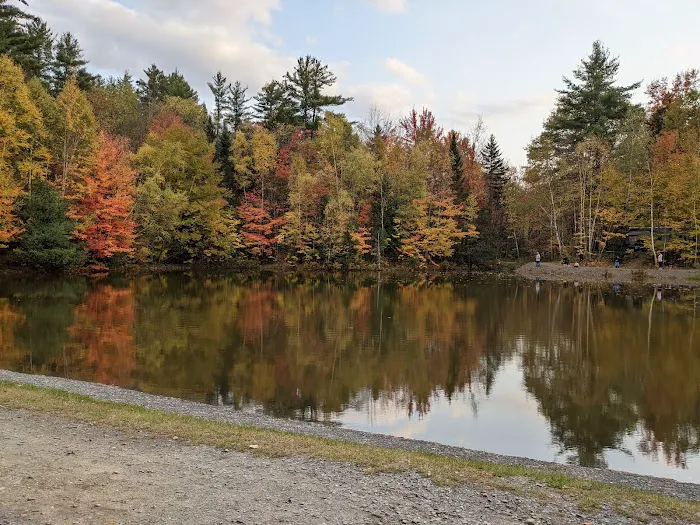 Moose Hillock Camping Resort Picture 1