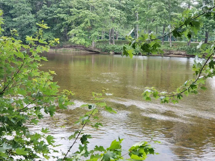 Pemi River Campground Picture 1