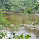 Pemi River Campground