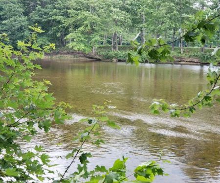 Pemi River Campground