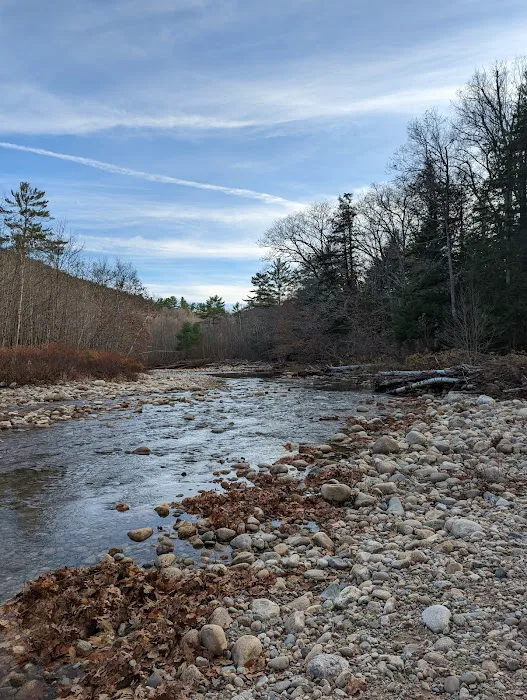 Campton Campground Picture 4