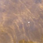 Oliverian Boating Site