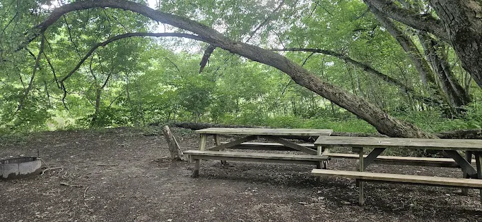 Harkdale Farm Campsite Picture 5