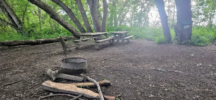 Harkdale Farm Campsite Picture 2