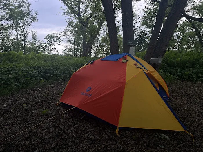 Harkdale Farm Campsite Picture 8