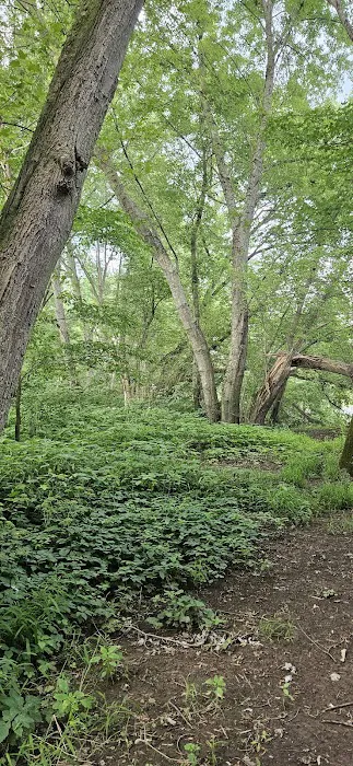 Harkdale Farm Campsite Picture 3