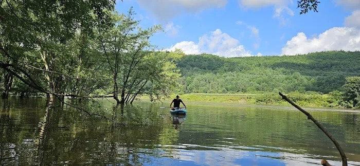 Howard Island South Campsite Picture 4