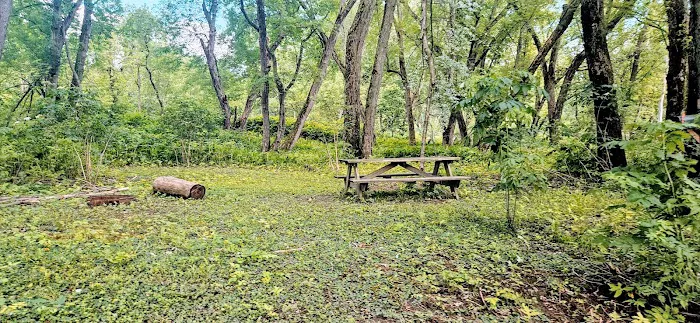 Howard Island South Campsite Picture 3