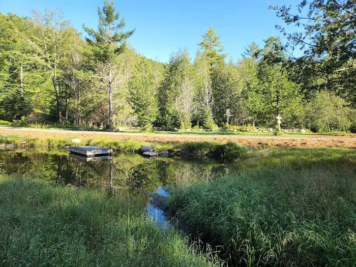 Scotch Hollow Hill Private Campground Picture 4