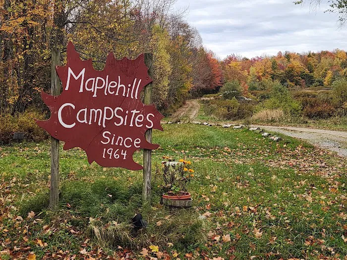 Maple Hill Campsites Picture 5