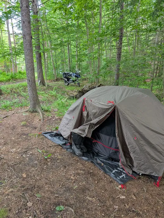 Maple Hill Campsites Picture 10