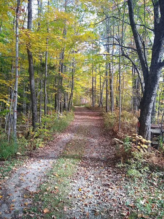 Maple Hill Campsites Picture 9