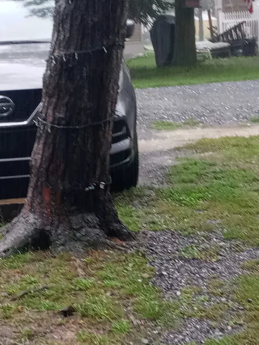 Whispering Pines Campground Picture 6