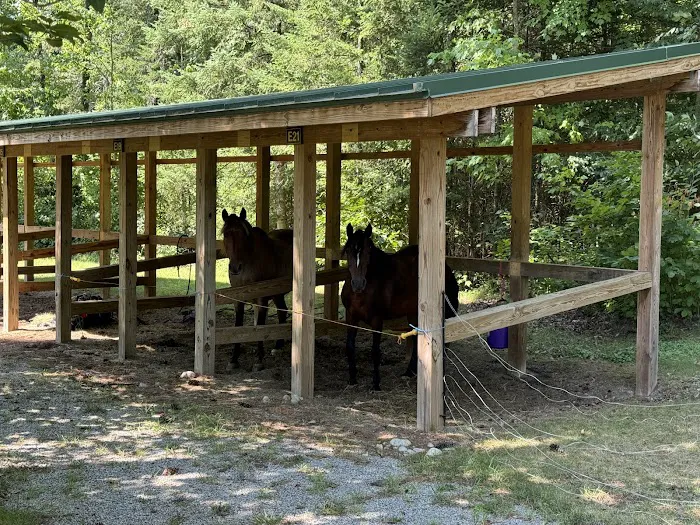 Frontier Town Campground, Equestrian and Day Use Area Picture 7