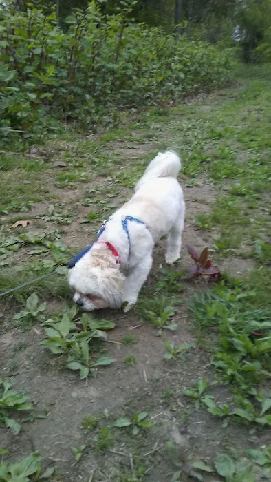 Village Park Inc Picture 9
