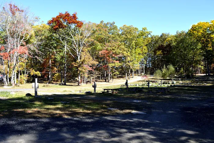 Douglas Forest RV Resort Picture 8