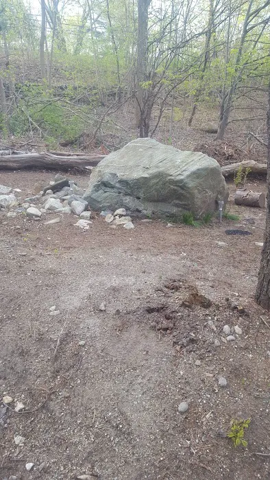 R&R Mobile Home Park Picture 6