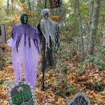 Bowdish Lake Camping Area