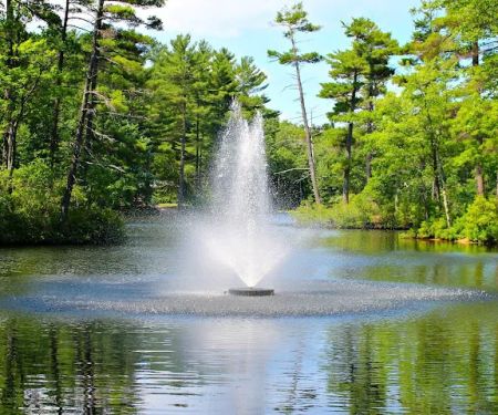 Pine Acres Family Camping Resort
