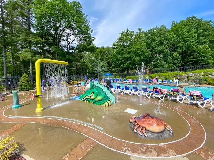 Pine Acres Family Camping Resort Picture 10