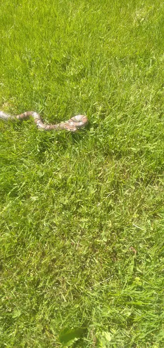 Suburban Village Mobile Home Park Picture 2