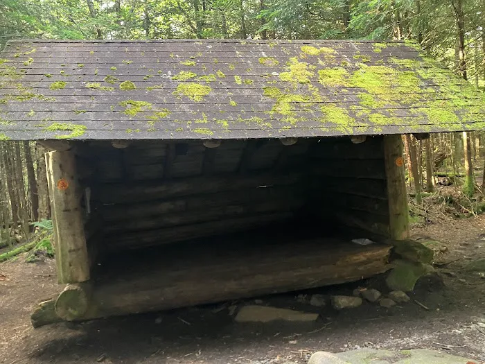 Uphill Leanto Picture 7