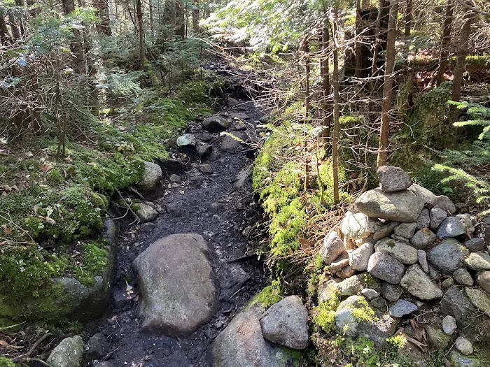 Uphill Leanto Picture 3
