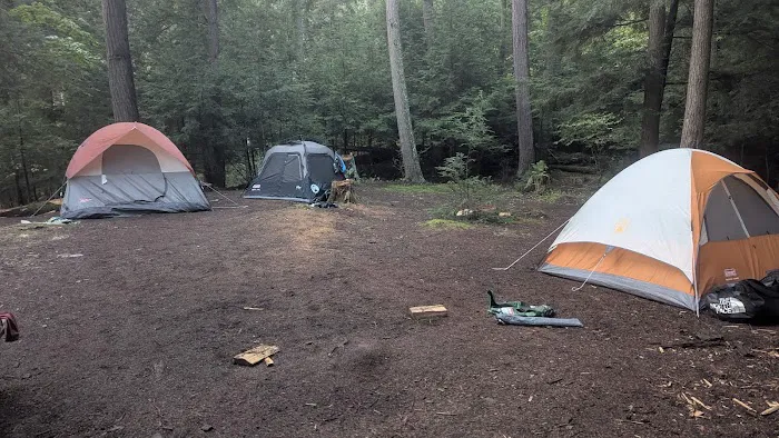 Saranac Lake Islands Campsite 70 Picture 9
