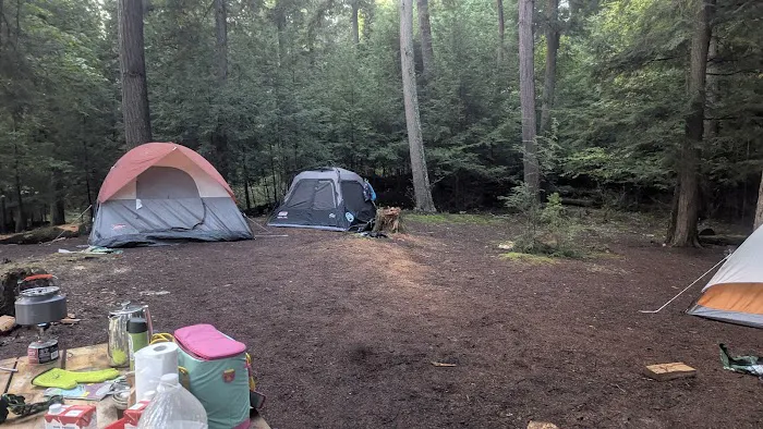 Saranac Lake Islands Campsite 70 Picture 8