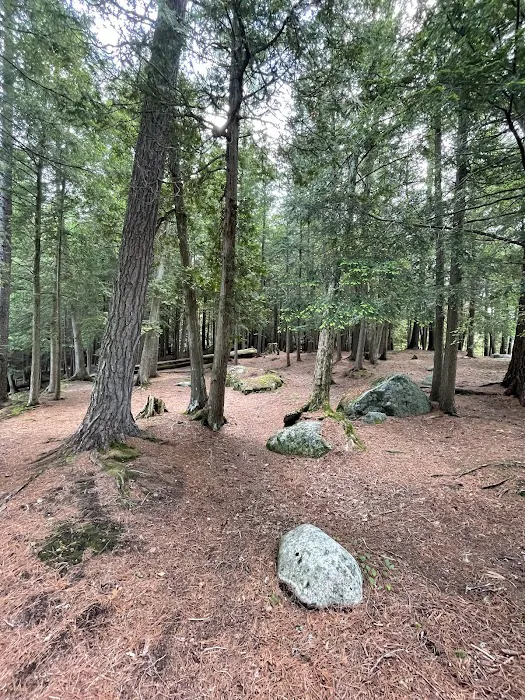 Saranac Lake Islands Campground - Campsite #62 Picture 9