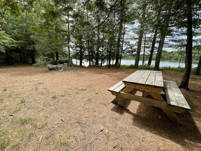 Saranac Lake Islands Campground - Campsite #62 Picture 10