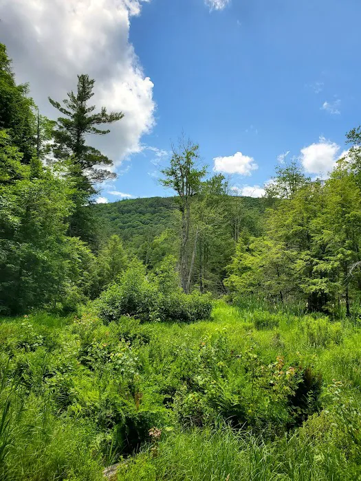 Gunstock Campground Picture 8