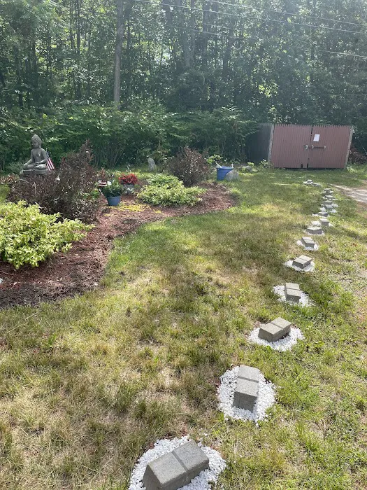 Edge of Woods Picture 10