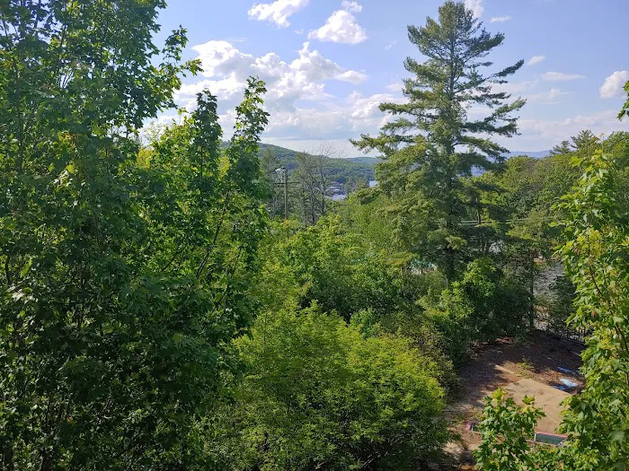 White Oaks RV Park Picture 7