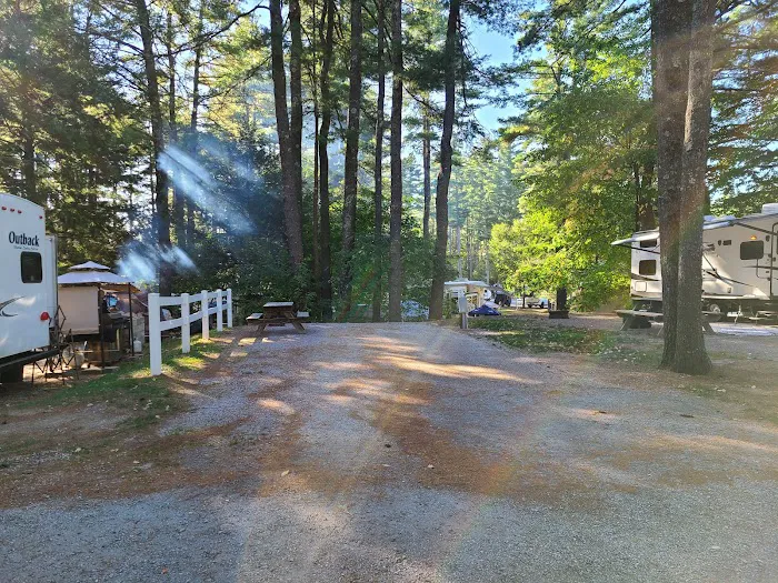 Cold Springs Camp Resort Picture 10