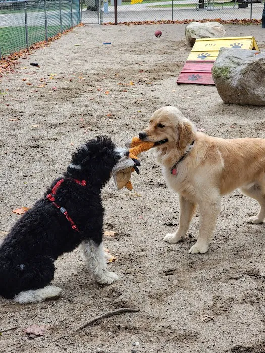 Lincoln / Woodstock KOA Holiday Picture 6