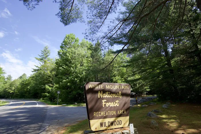 Wildwood Campground and Picnic Area Picture 6