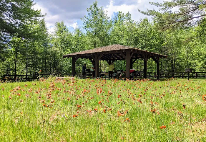 Wildwood Campground and Picnic Area Picture 8
