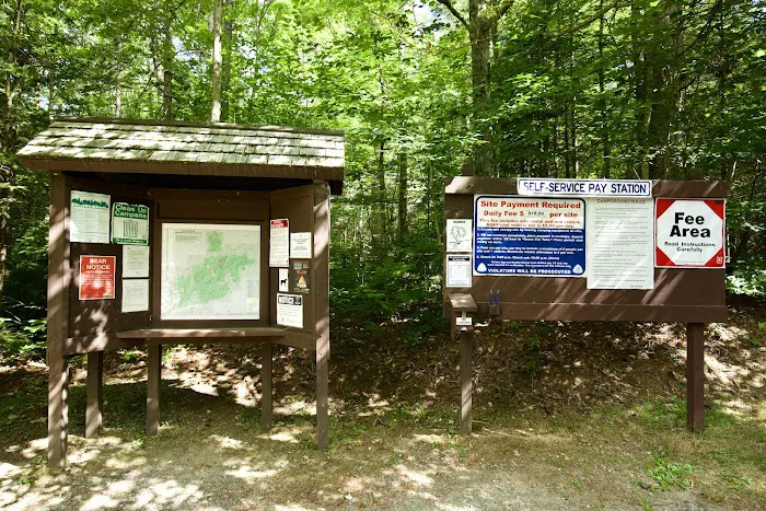 Wildwood Campground and Picnic Area Picture 7