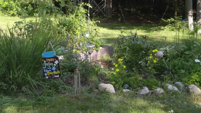 Groton Forest Rd Campground Picture 5