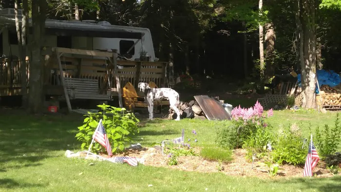Groton Forest Rd Campground Picture 4